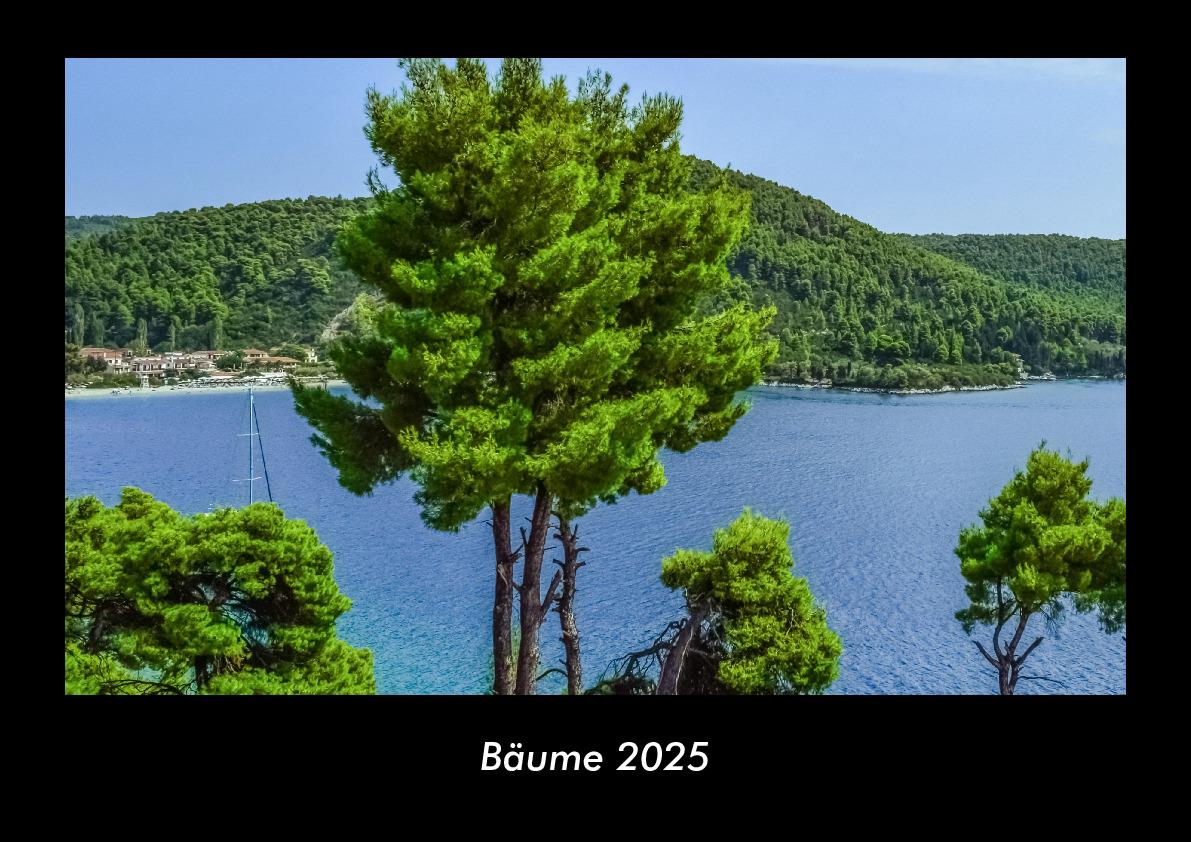 Bäume 2025 Fotokalender DIN A3
