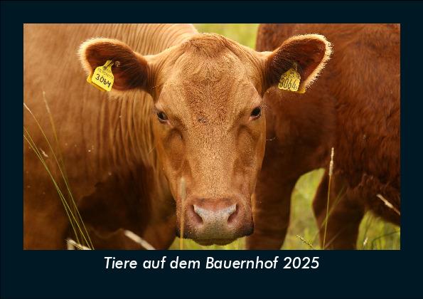 Tiere auf dem Bauernhof 2025 Fotokalender DIN A5