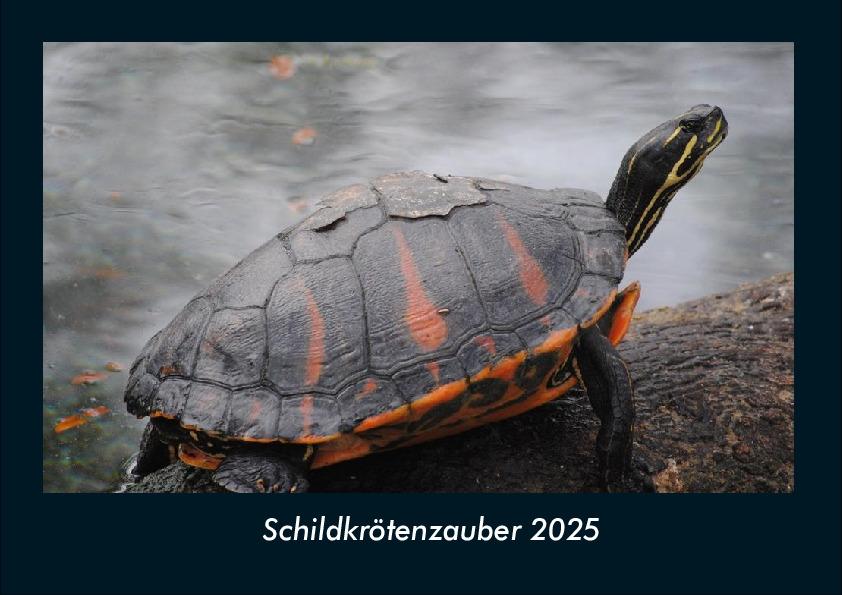 Schildkrötenzauber 2025 Fotokalender DIN A4