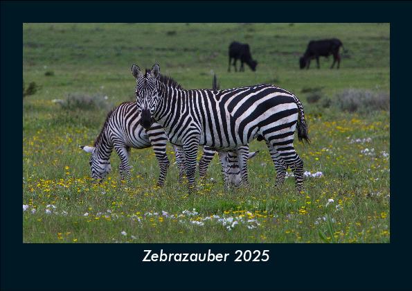 Zebrazauber 2025 Fotokalender DIN A5