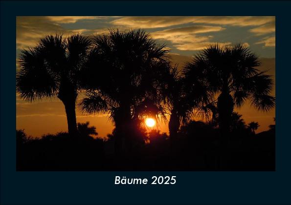 Bäume 2025 Fotokalender DIN A5