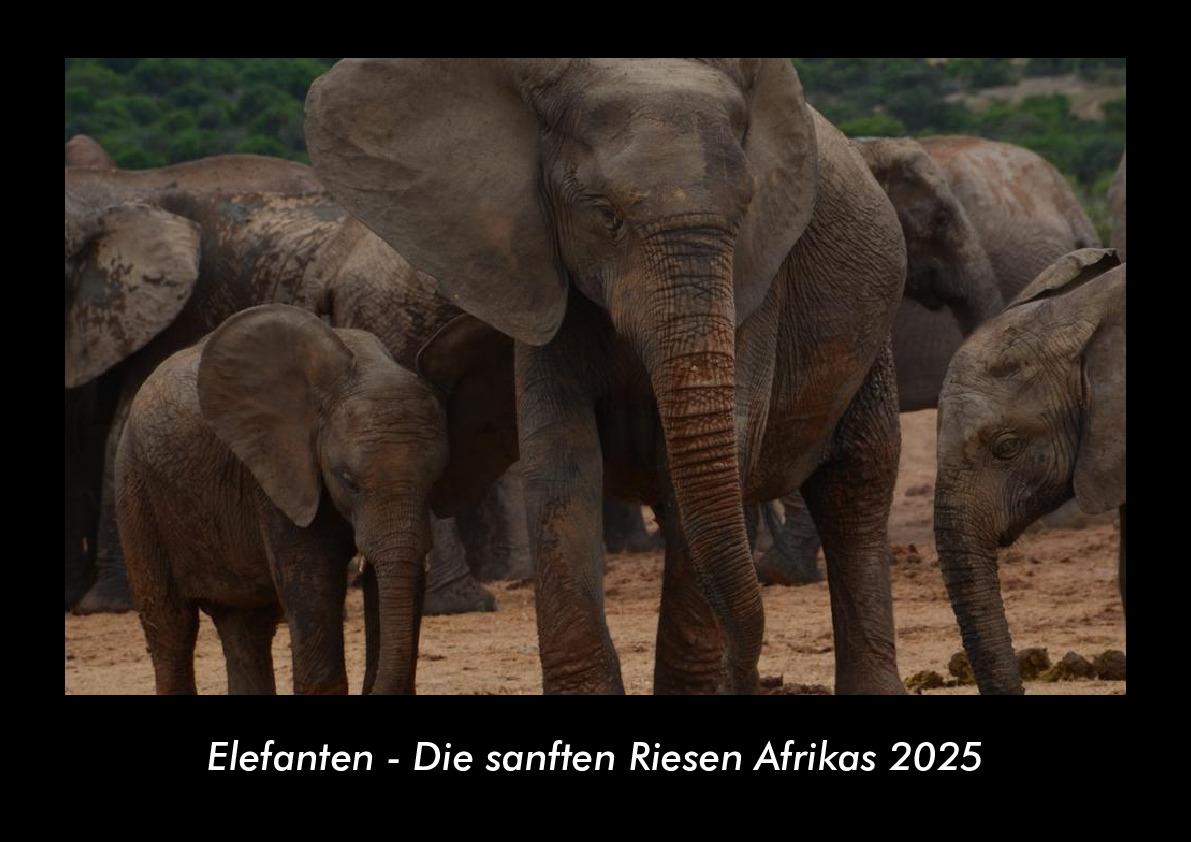 Elefanten - Die sanften Riesen Afrikas 2025 Fotokalender DIN A3