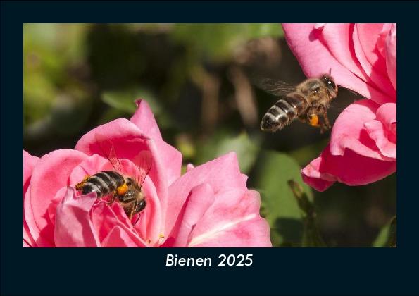 Bienen 2025 Fotokalender DIN A5