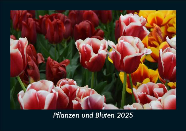 Pflanzen und Blüten 2025 Fotokalender DIN A5