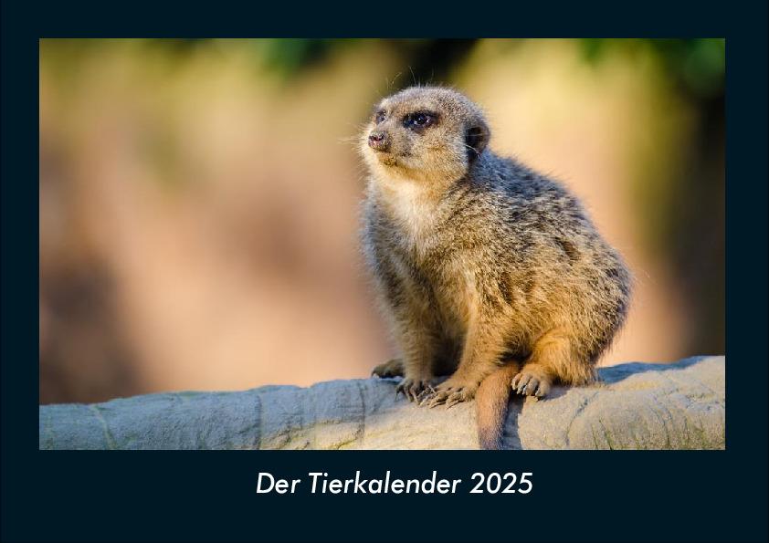 Der Tierkalender 2025 Fotokalender DIN A4