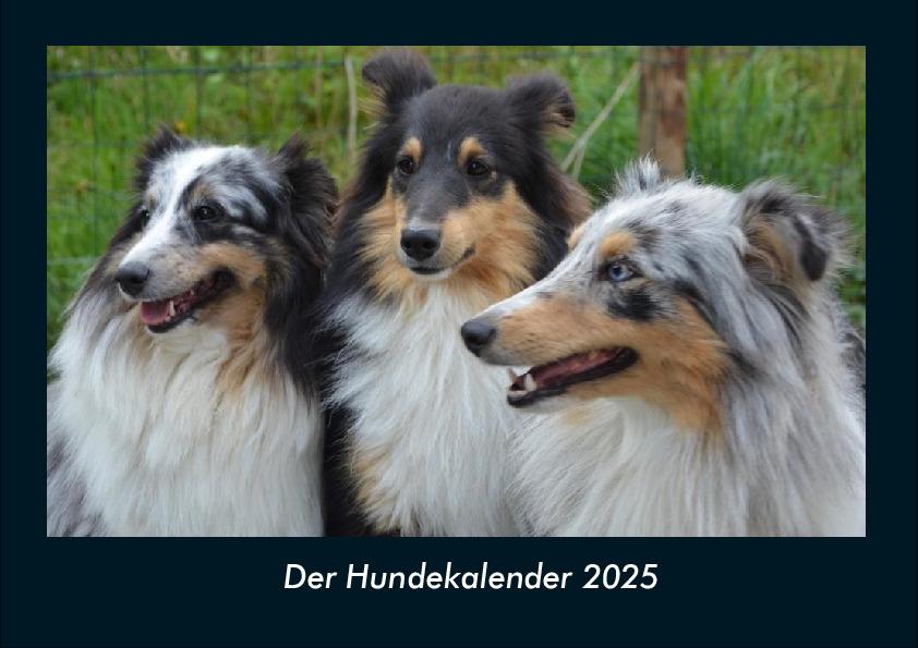 Der Hundekalender 2025 Fotokalender DIN A4