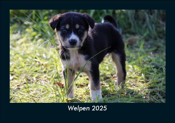 Welpen 2025 Fotokalender DIN A5