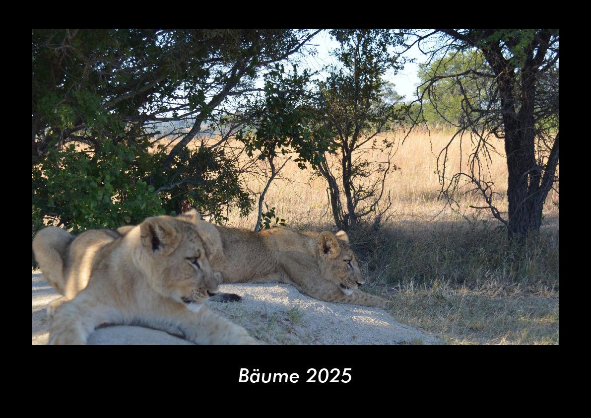 Bäume 2025 Fotokalender DIN A3