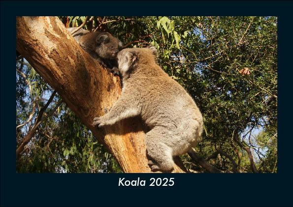 Koala 2025 Fotokalender DIN A5