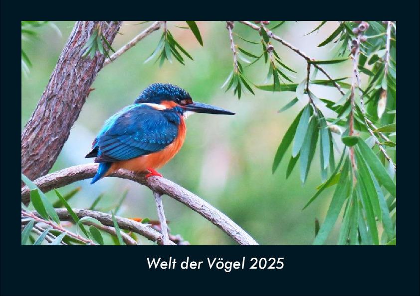 Welt der Vögel 2025 Fotokalender DIN A4