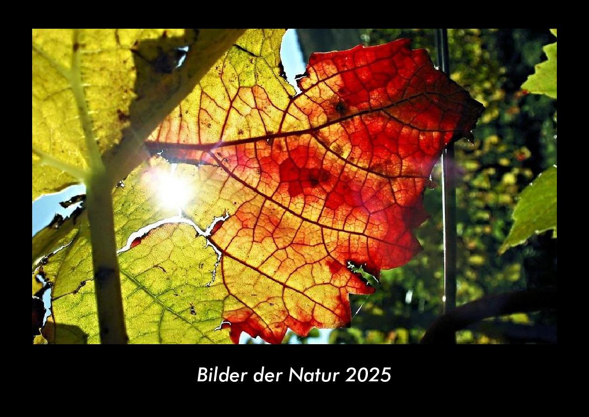 Bilder der Natur 2025 Fotokalender DIN A3