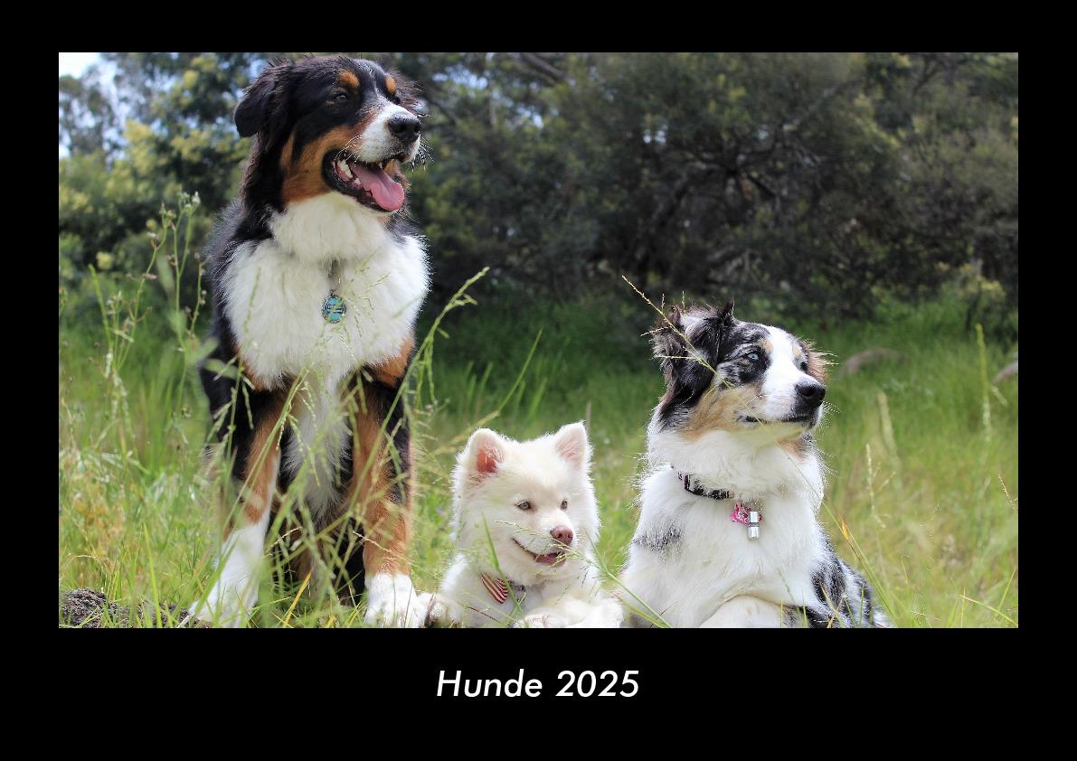 Hunde 2025 Fotokalender DIN A3