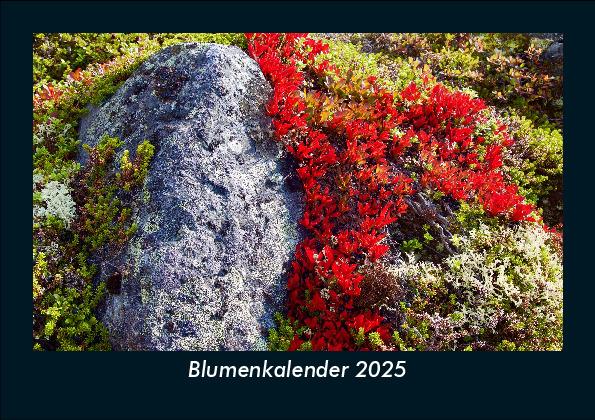 Blumenkalender 2025 Fotokalender DIN A5