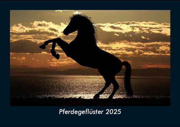 Pferdegeflüster 2025 Fotokalender DIN A5