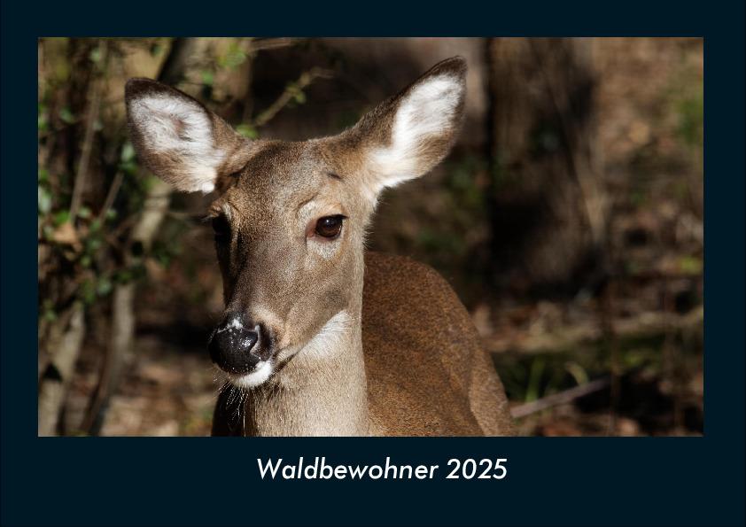 Waldbewohner 2025 Fotokalender DIN A4