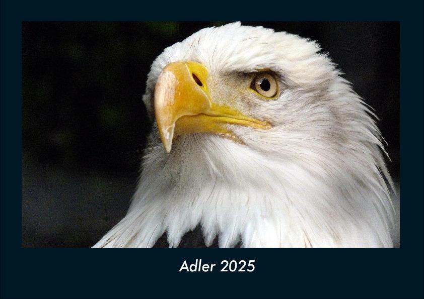 Adler 2025 Fotokalender DIN A4