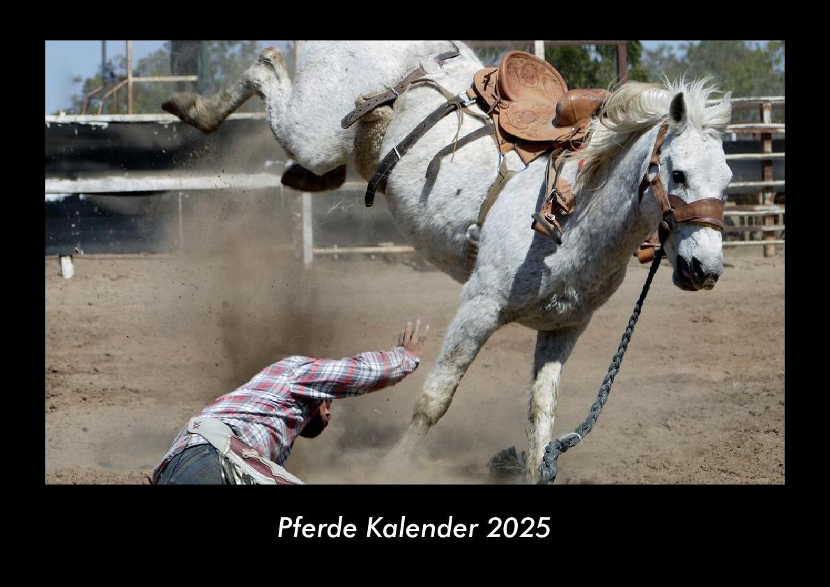Pferde Kalender 2025 Fotokalender DIN A3