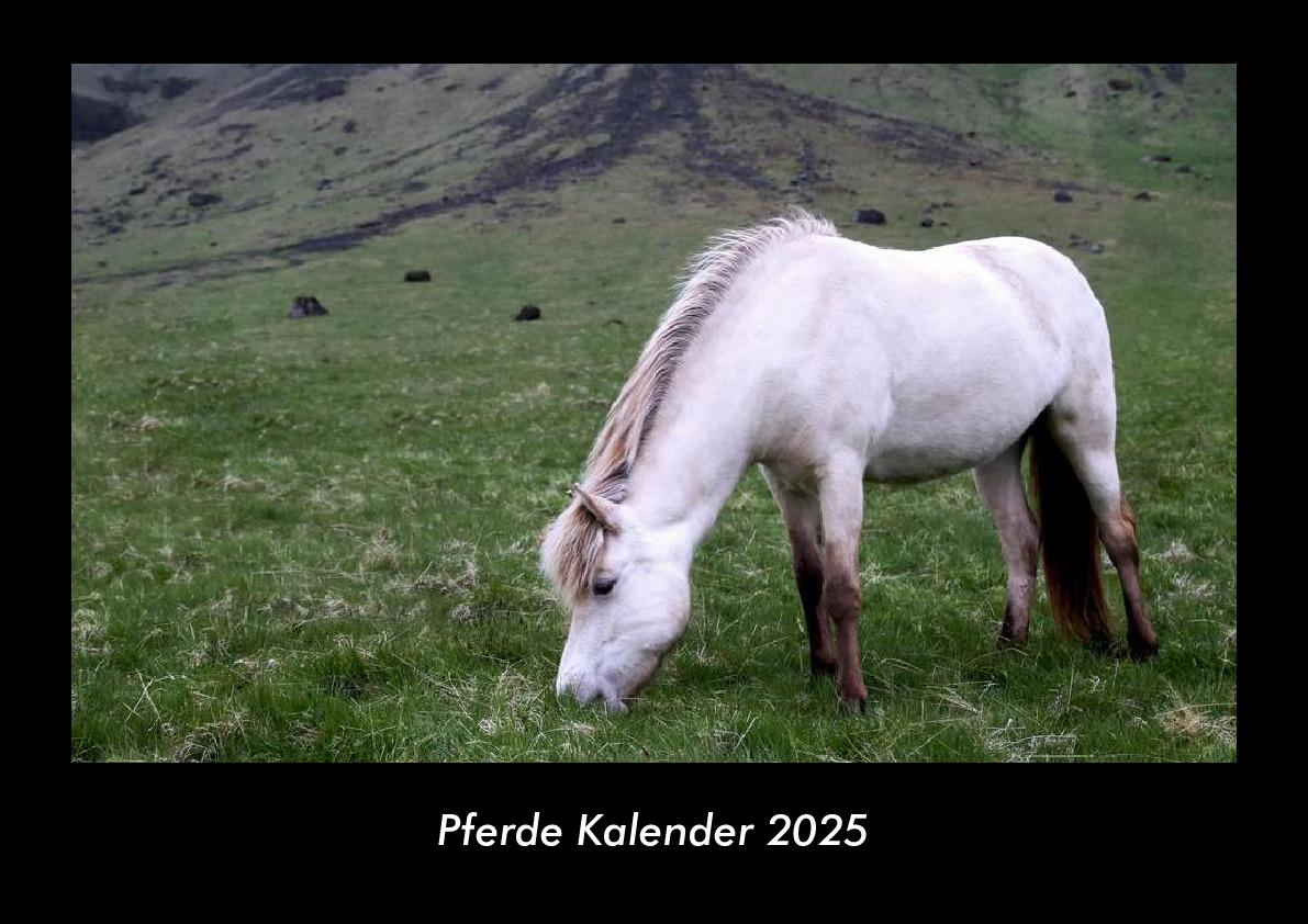 Pferde Kalender 2025 Fotokalender DIN A3