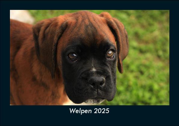 Welpen 2025 Fotokalender DIN A5