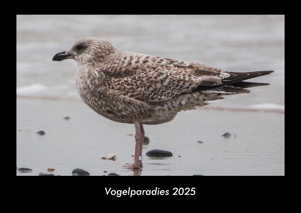 Vogelparadies 2025 Fotokalender DIN A3