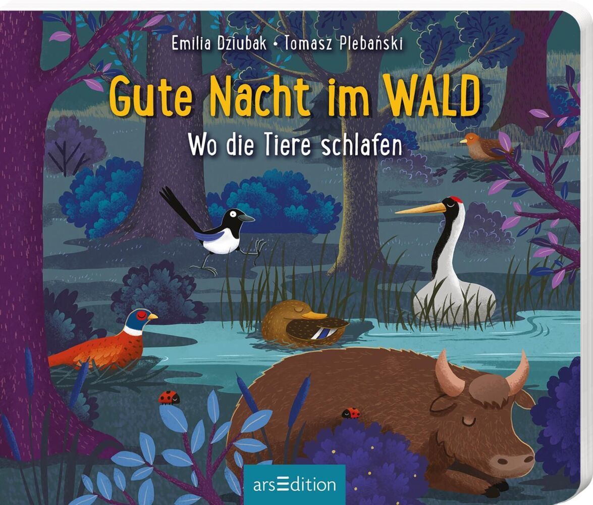 Pappbilderbuch Gute Nacht im Wald