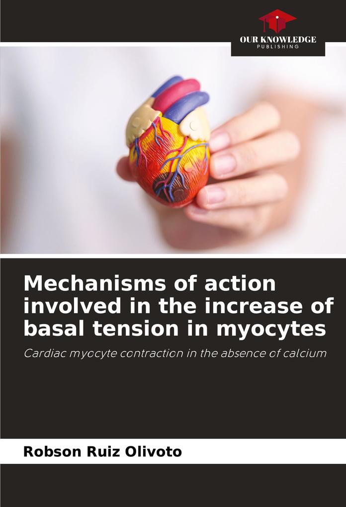 Mechanisms of action involved in the increase of basal tension in myocytes