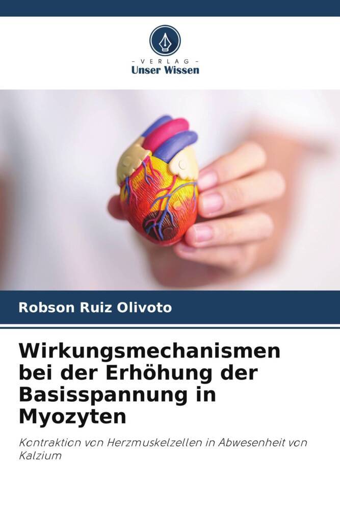 Wirkungsmechanismen bei der Erhöhung der Basisspannung in Myozyten