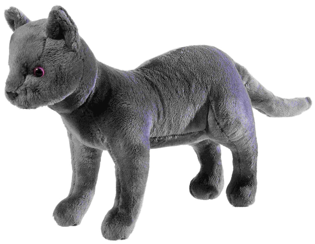 Heunec 621169 - Katze Karajan Schule der magischen Tiere Plüschtier 30 cm