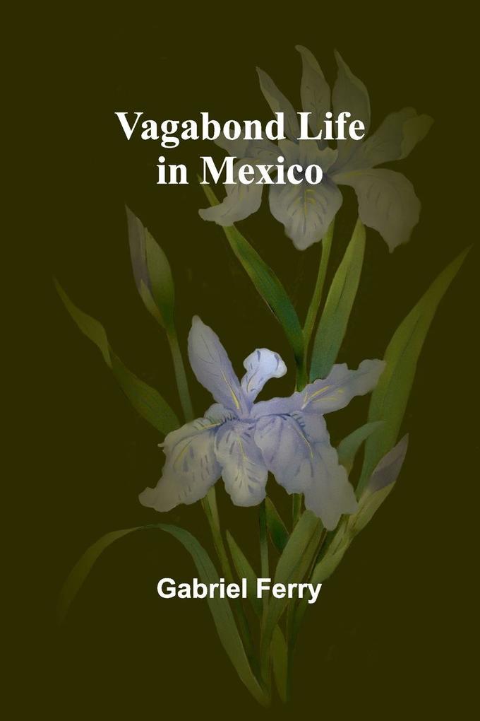 Vagabond Life in Mexico