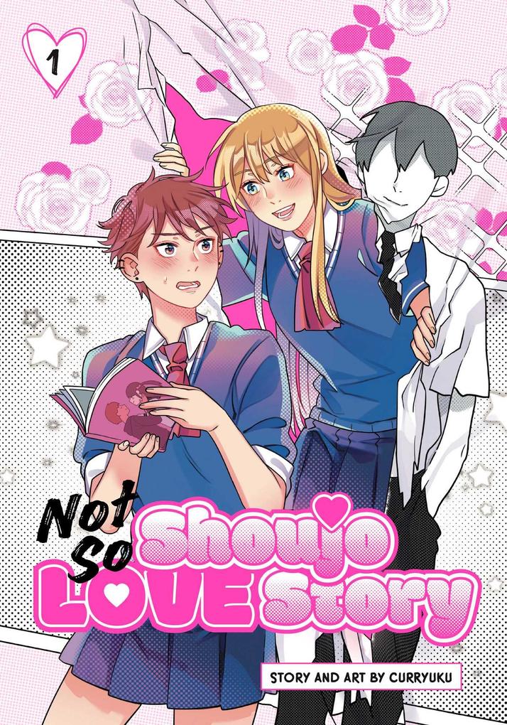 Viz Media Subs. of Shogakukan Inc Not So Shoujo Love Story Vol. 1