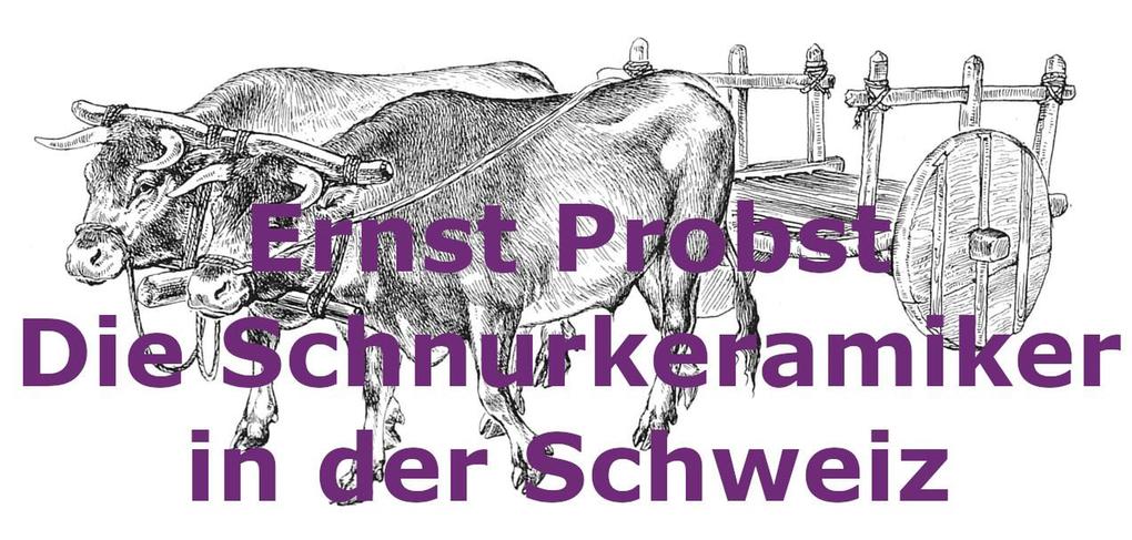 Die Schnurkeramiker in der Schweiz