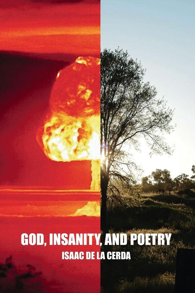 God Insanity and Poetry