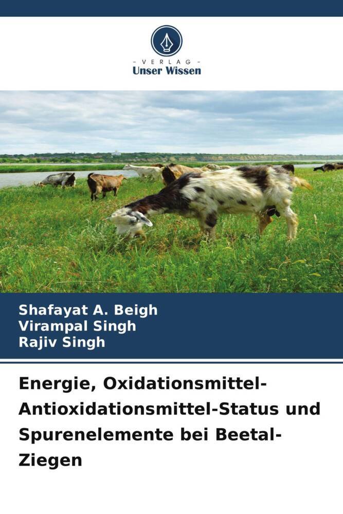 Energie Oxidationsmittel-Antioxidationsmittel-Status und Spurenelemente bei Beetal-Ziegen