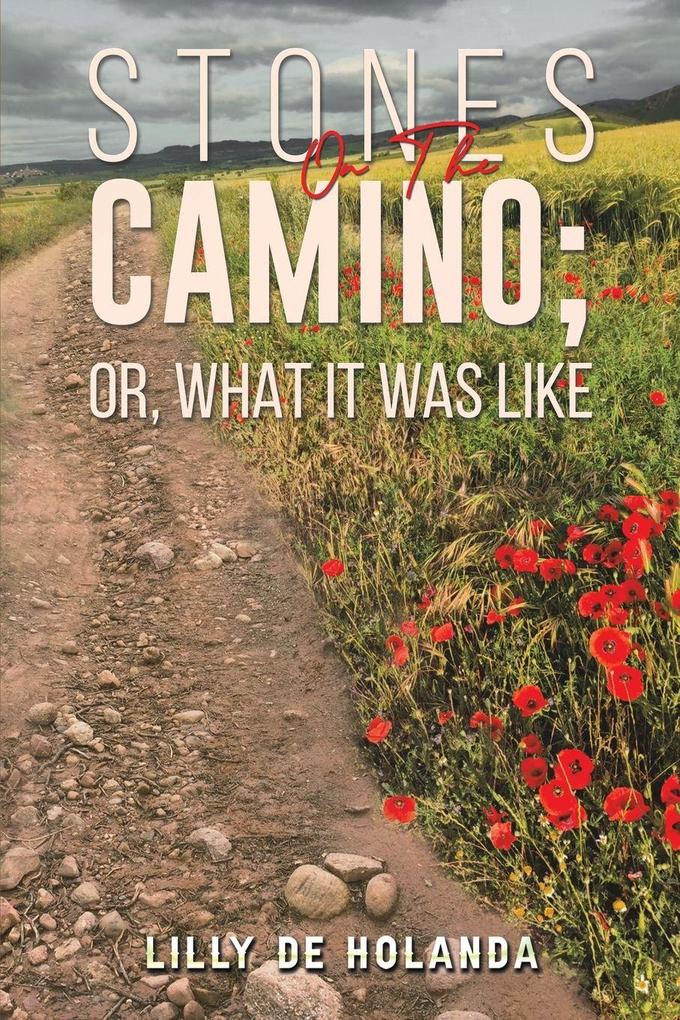 Stones on the Camino; or What It Was Like