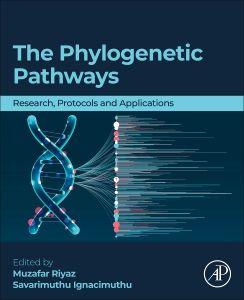 The Phylogenetic Pathways