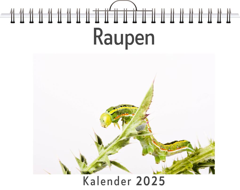 Raupen