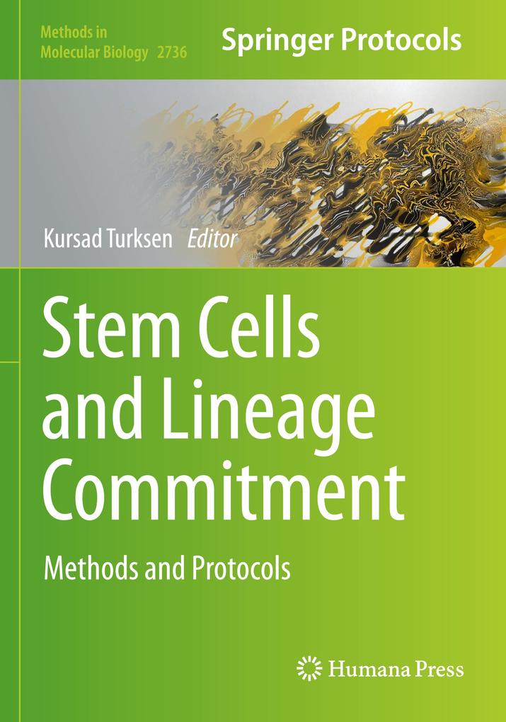 Stem Cells and Lineage Commitment