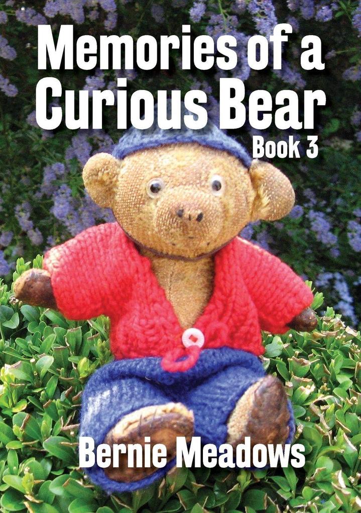 Memories of a Curious Bear