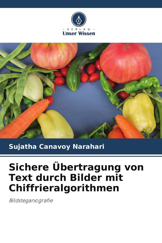 Sichere Übertragung von Text durch Bilder mit Chiffrieralgorithmen