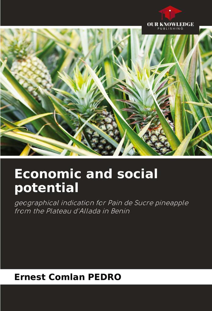 Economic and social potential