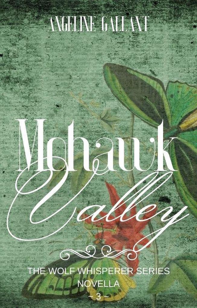 Mohawk Valley