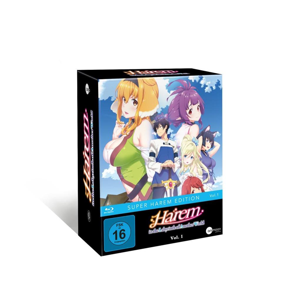 Harem in the Labyrinth of Another World - Blu-ray Vol. 1 mit Sammelschuber