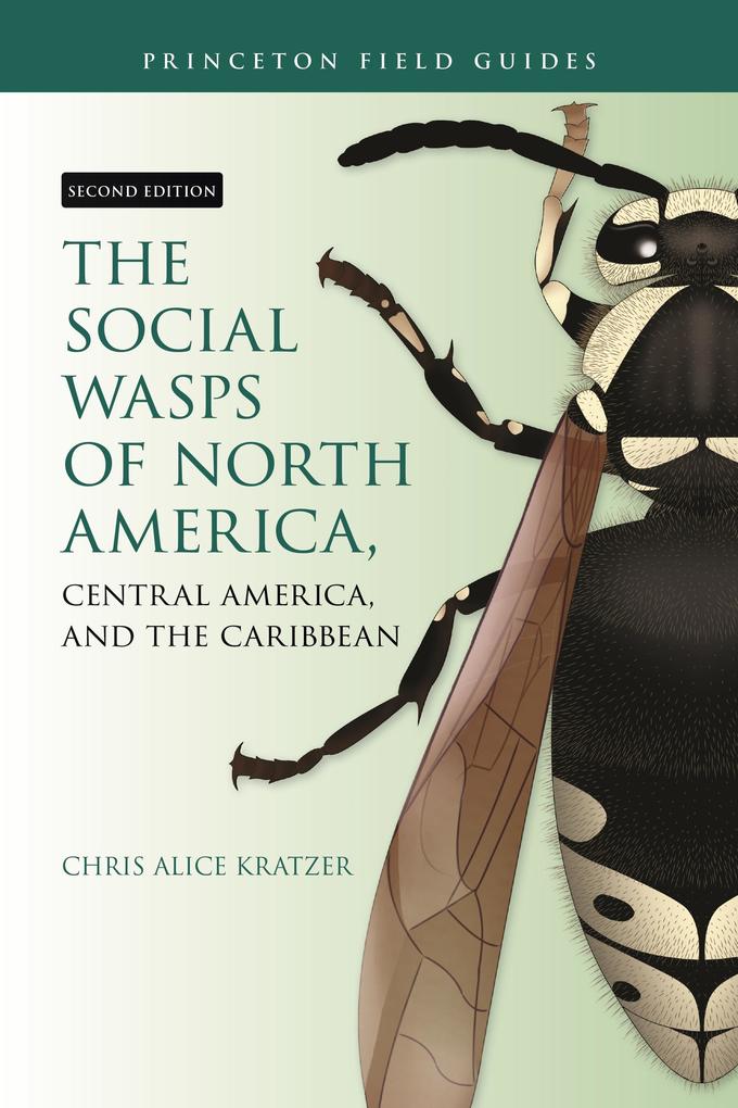 The Social Wasps of North America Central America and the Caribbean Second Edition