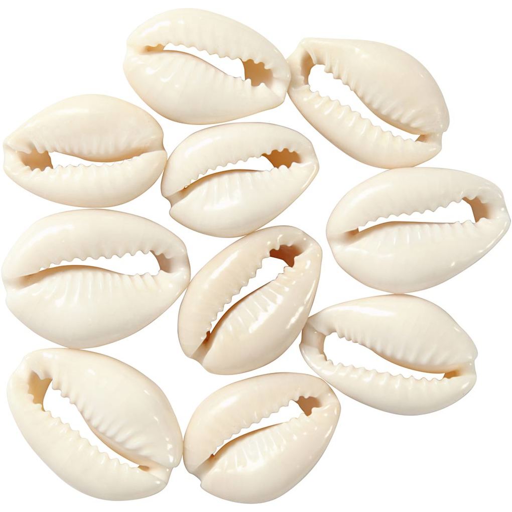 Creativ Company Muschelperlen L 20 mm Natur 12 Stk