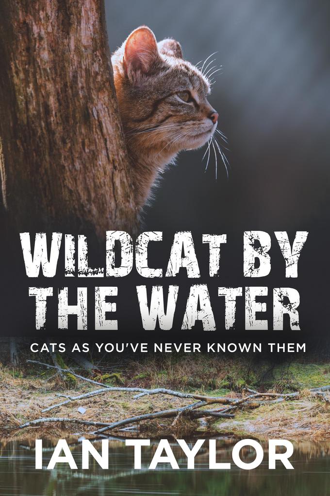 Wildcat By The Water