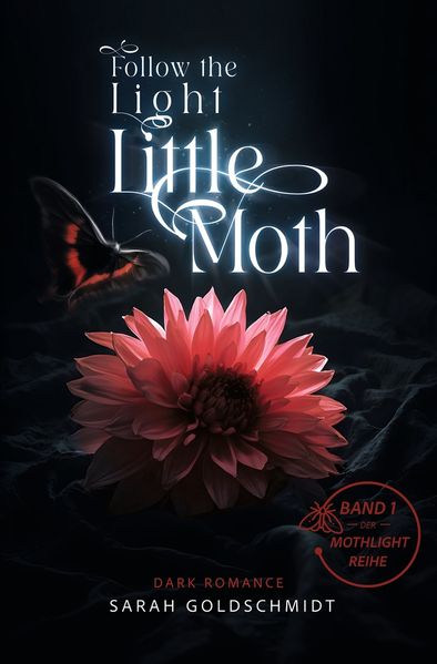 follow the light little moth