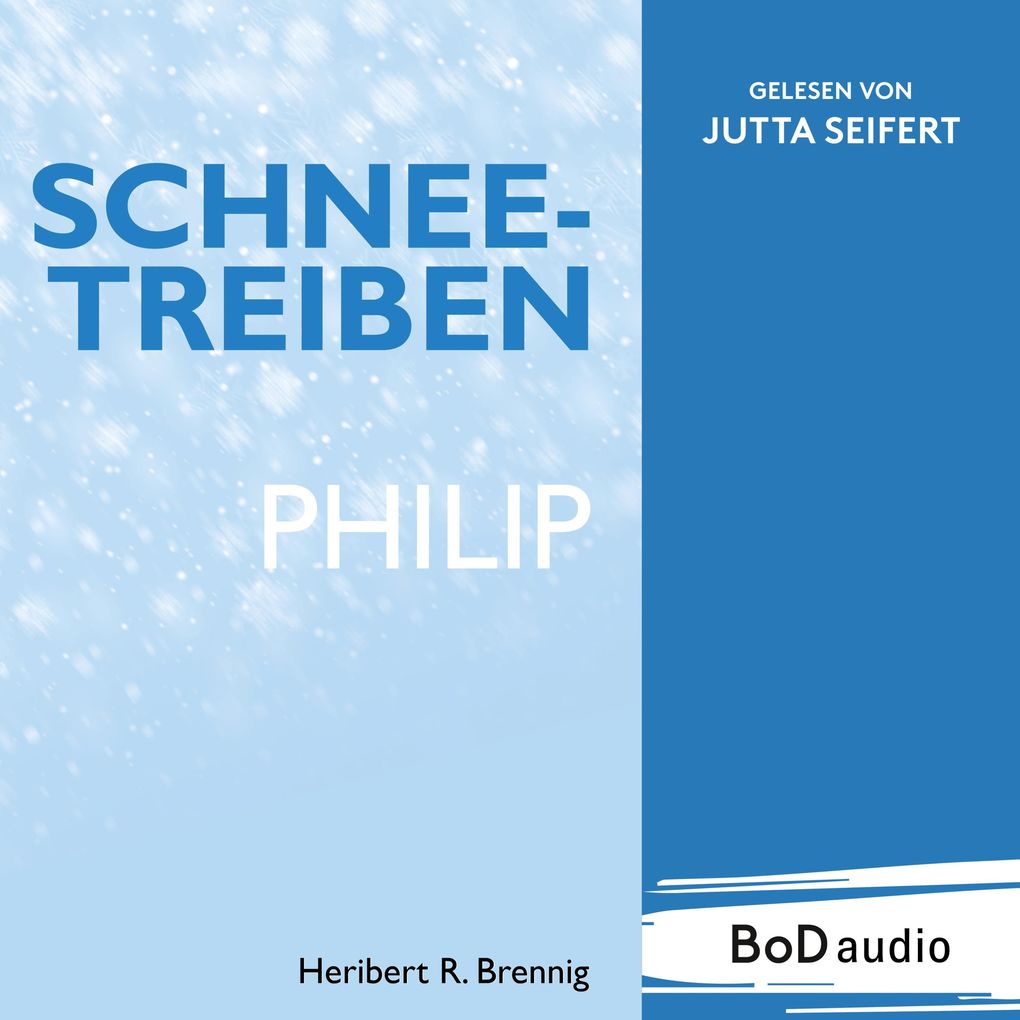 Schneetreiben