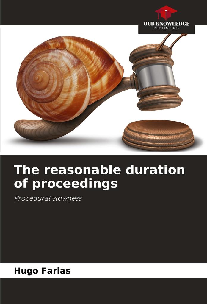 The reasonable duration of proceedings