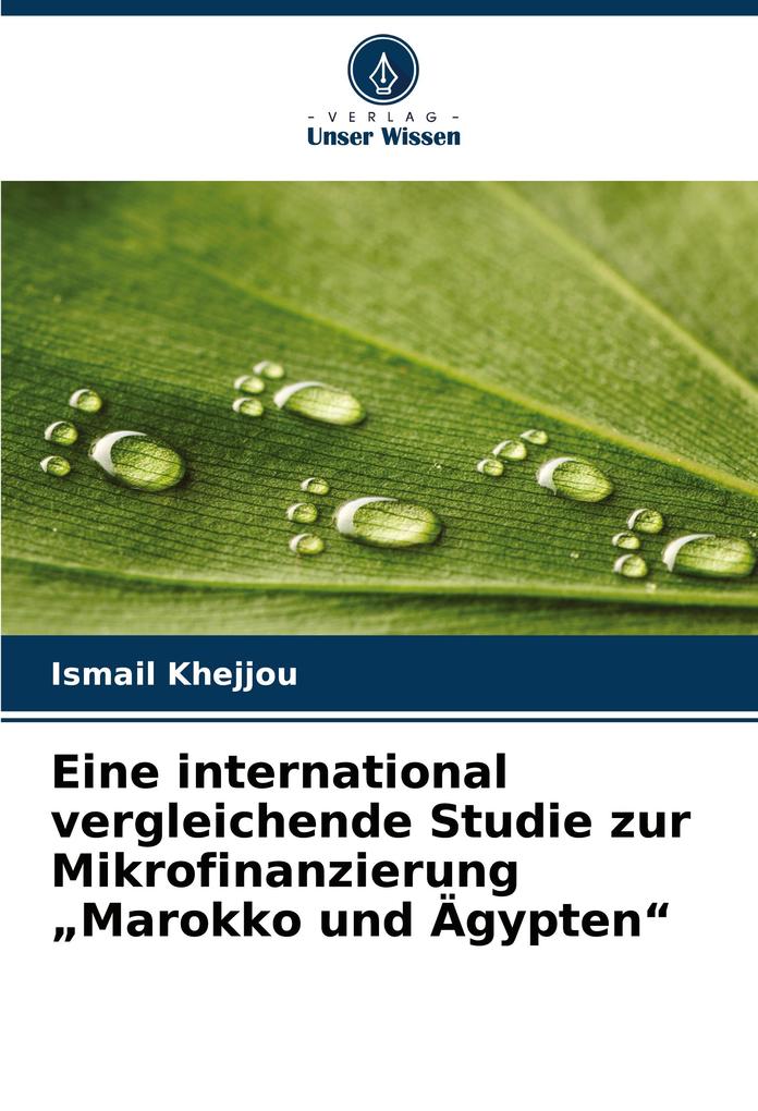 Eine international vergleichende Studie zur Mikrofinanzierung 'Marokko und Ägypten'