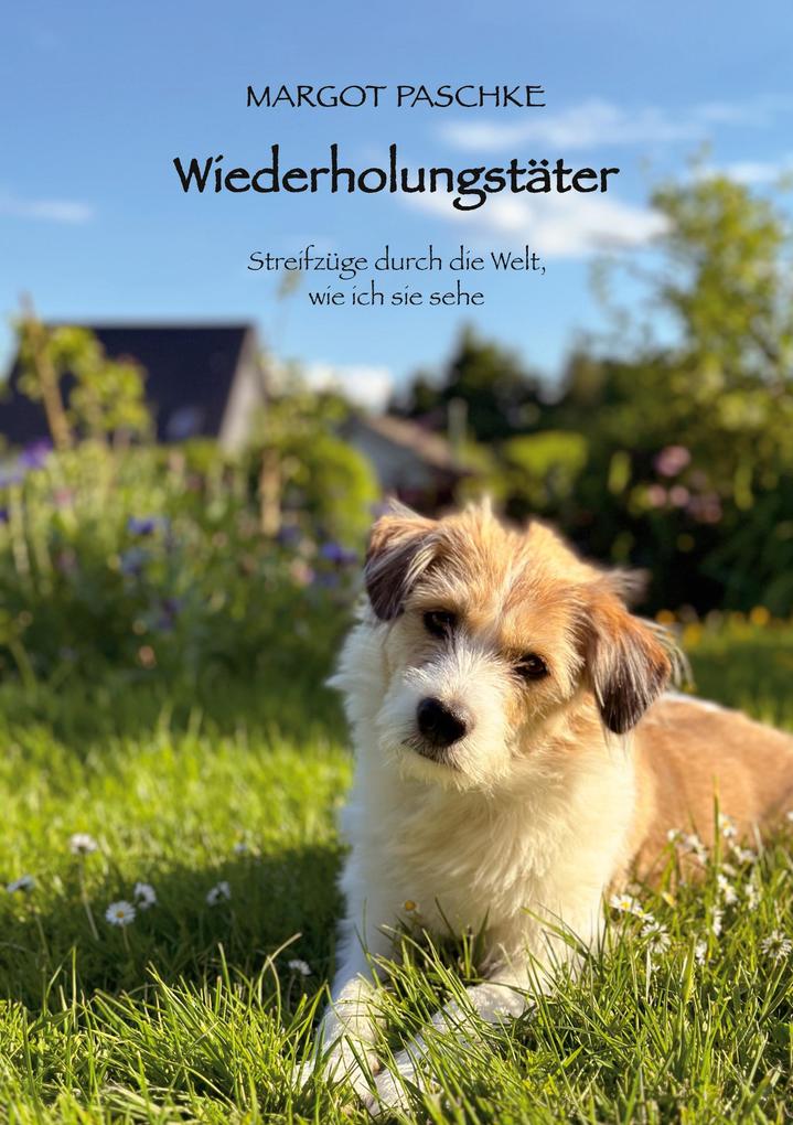 Wiederholungstäter
